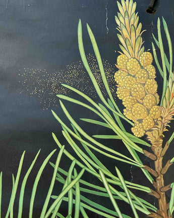 TELA ESCOLAR DO CICLO DO PINHEIRO