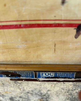 TELA ESCOLAR DO ESQUELETO HUMANO